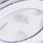 A1397PL-1CL СВЕТИЛЬНИК ПОТОЛОЧНЫЙ — изображение 2