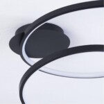 A3893PL-30BK СВЕТИЛЬНИК ПОТОЛОЧНЫЙ — изображение 3