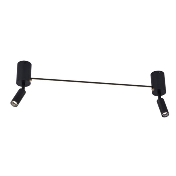 A2219PL-2BK СВЕТИЛЬНИК ПОТОЛОЧНЫЙ