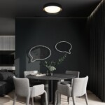 10202 BB  Потолочный светильник  LOFT IT Coin — изображение 7