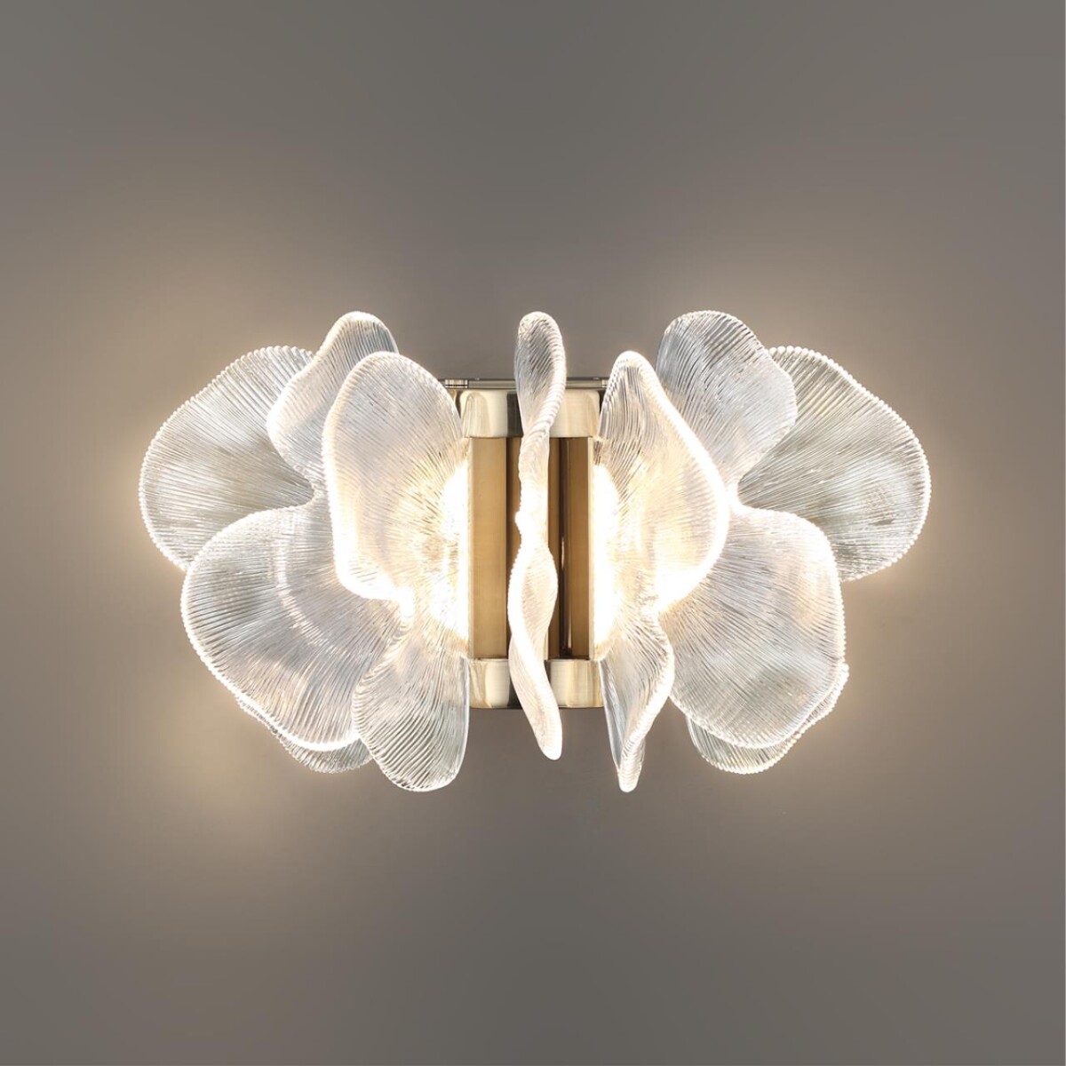 5089/25WL L-VISION ODL25 551 Бра 25W IP20 3500K 220V SIAMA — изображение 5