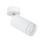 A2365PL-1WH СВЕТИЛЬНИК ПОТОЛОЧНЫЙ