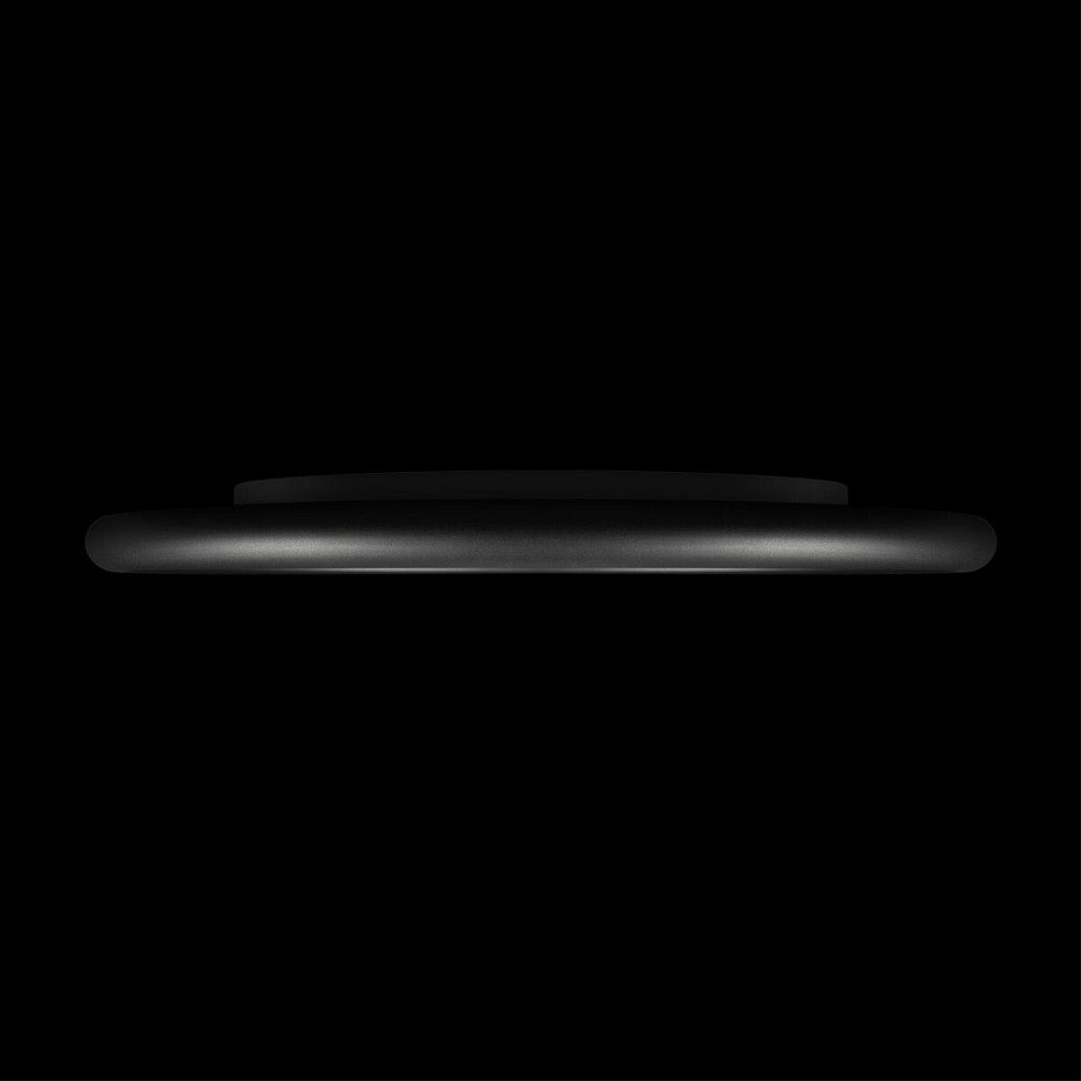 10454/500 Black  Потолочный светильник  LOFT IT Sweety — изображение 4