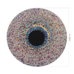 SL6142.423.01 Светильник подвесной ST-Luce черный/радужный LED 1*8W 4000K ALUMNO — изображение 5