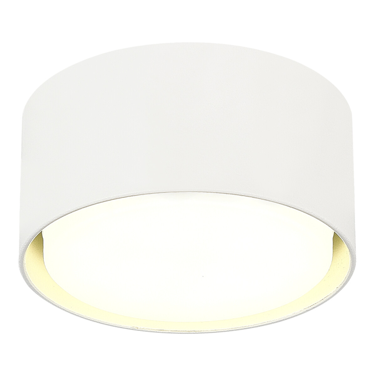 ST164.502.01_01W ST164.502.01 Светильник потолочный Белый GX53 1*50W IP20 D85xH40 220V Без ламп Накладные светильники — изображение 1