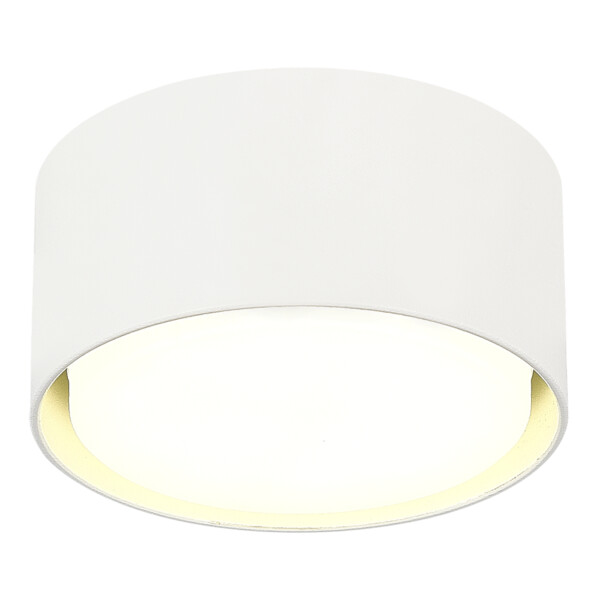 ST164.502.01 Светильник потолочный Белый GX53 1*50W IP20 D85xH40 220V Без ламп Накладные светильники