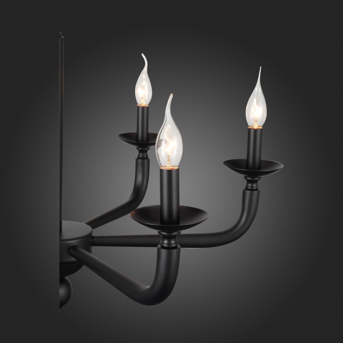 SL1114.403.06 Люстра подвесная ST-Luce Черный E14 6*40W FORTEZA — изображение 11