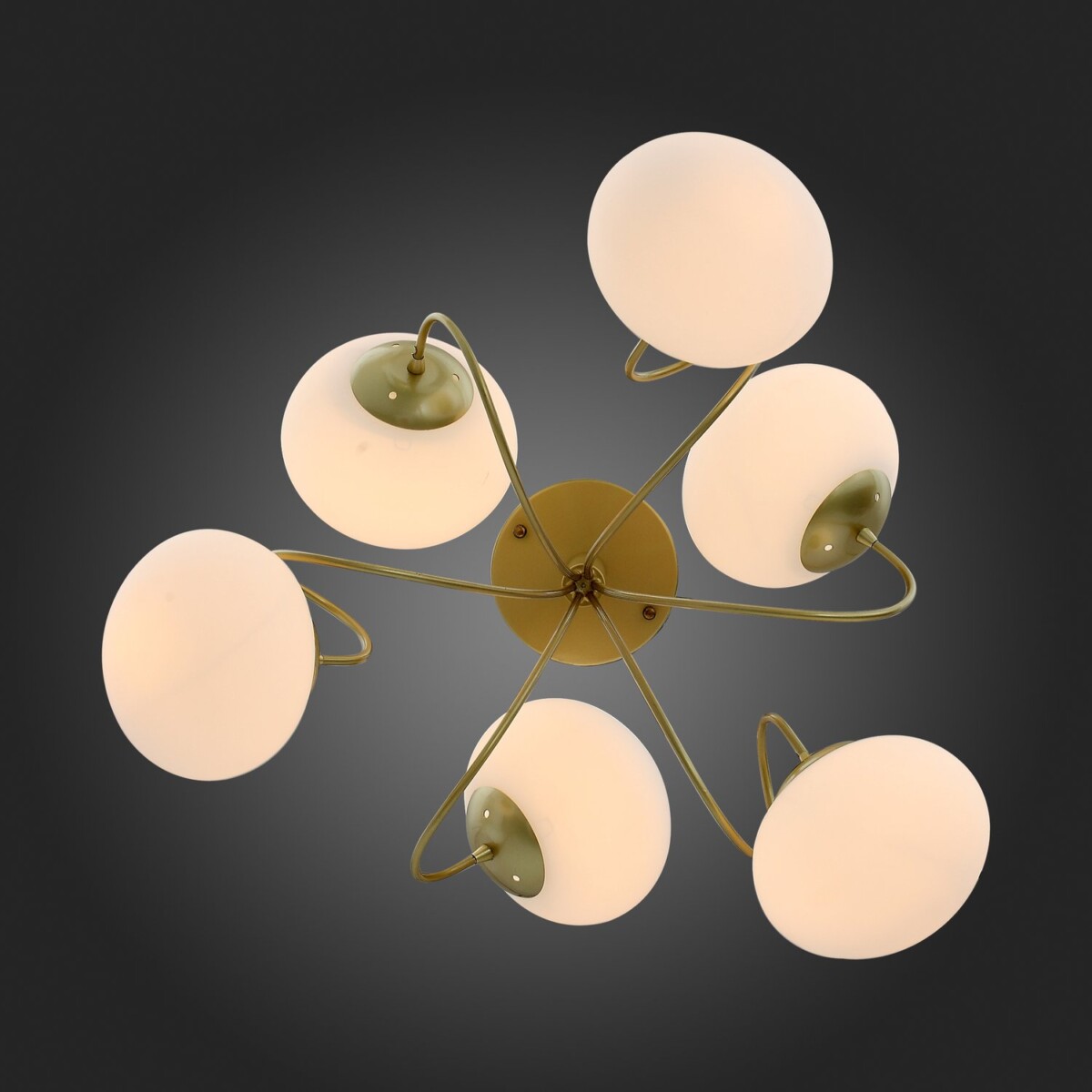 SL717.202.06 Светильник потолочный Золотистый/Белый E27 6*40W ACINI — изображение 5