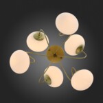 SL717.202.06 Светильник потолочный Золотистый/Белый E27 6*40W ACINI — изображение 5