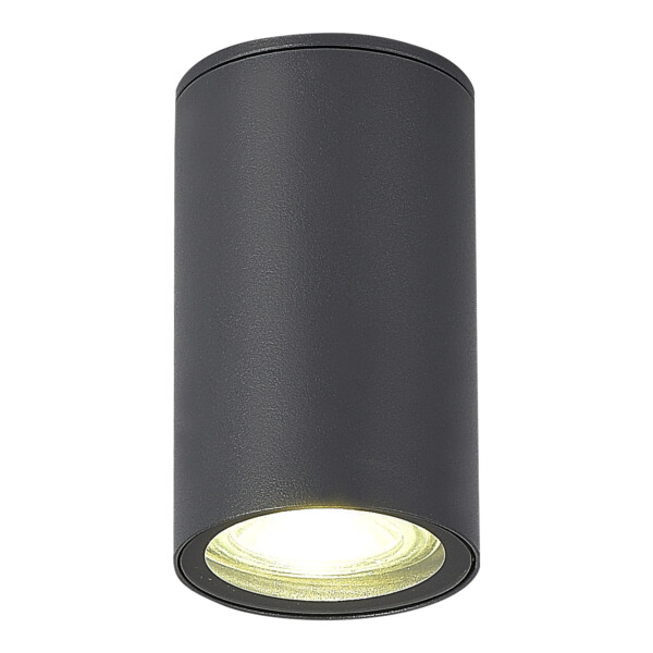 SL9010.712.01 Светильник уличный потолочный ST-Luce серый GU10 1*50W TUBO