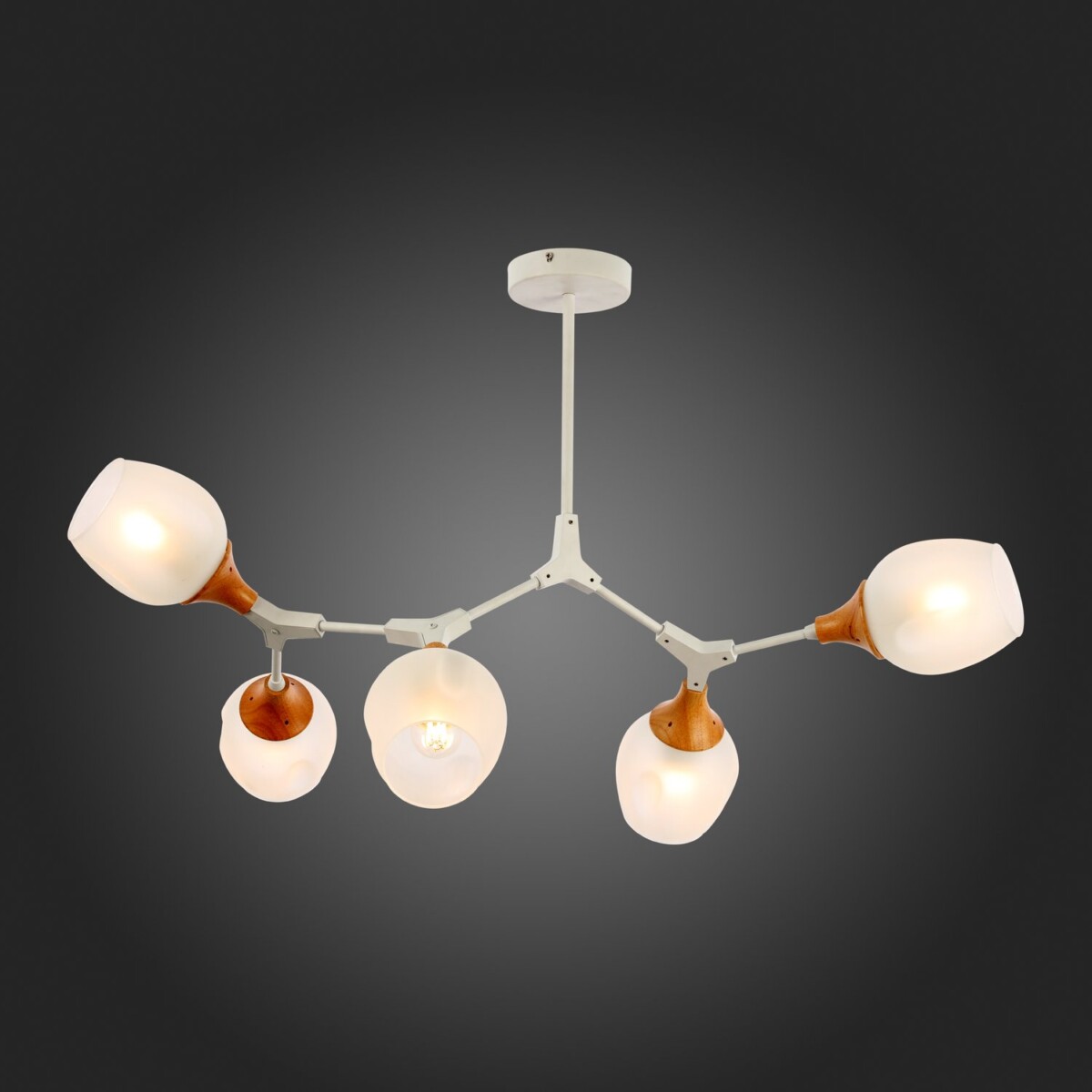 SLE113502-05 Светильник потолочный Белый, Светлое дерево/Белый E27 5*60W CIOTOLLA — изображение 2