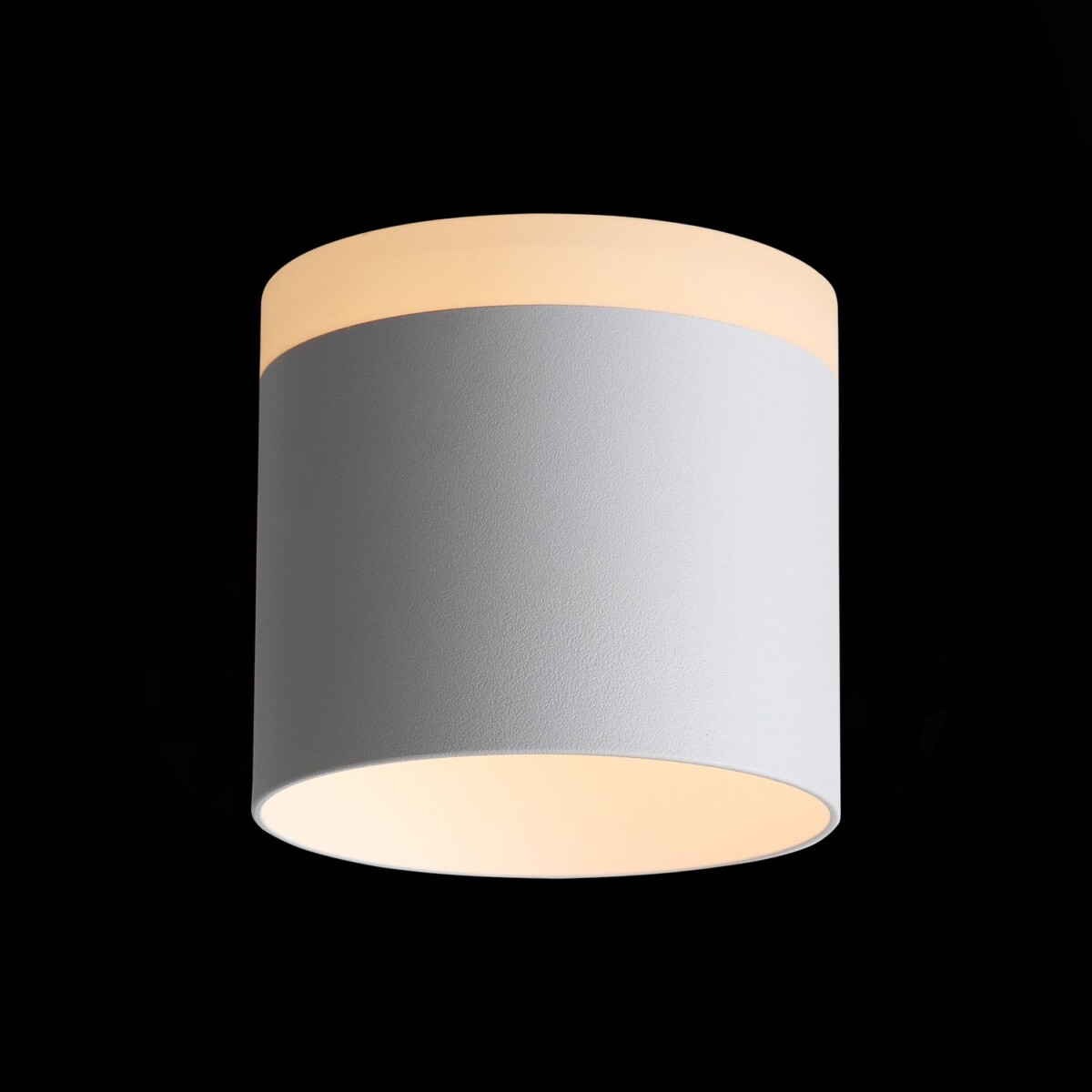 ST102.502.12 Светильник потолочный Белый LED 1*12W 3000K 936Lm Ra>80 120° IP20 D100xH90 170-240V Накладные светильники — изображение 1