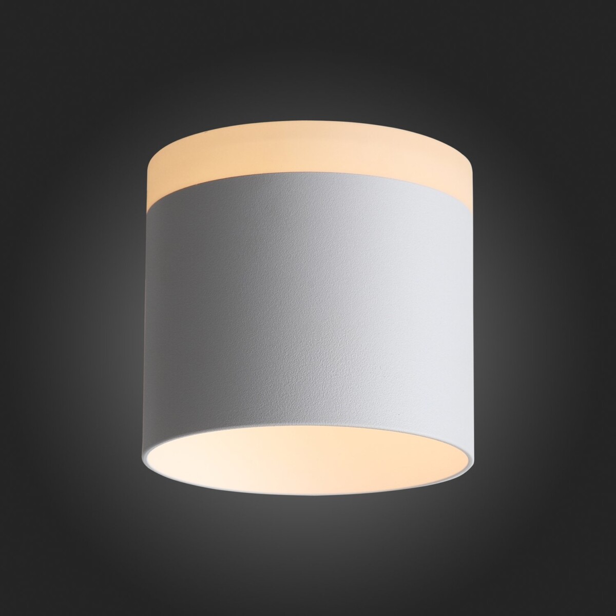 ST102.502.12 Светильник потолочный Белый LED 1*12W 3000K 936Lm Ra>80 120° IP20 D100xH90 170-240V Накладные светильники — изображение 2