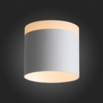 ST102.502.12 Светильник потолочный Белый LED 1*12W 3000K 936Lm Ra>80 120° IP20 D100xH90 170-240V Накладные светильники — изображение 2