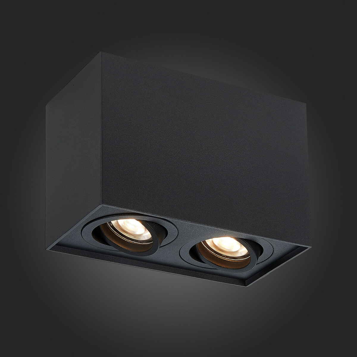 ST109.407.02 Светильник потолочный Черный GU10 2*50W  L181xW100xH123 220V Без ламп Накладные светильники — изображение 2