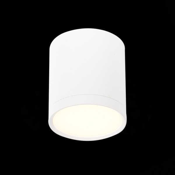 ST113.532.05 Светильник потолочный Белый LED 1*5W 3000K 390Lm Ra>90 120° IP20 D68xH75 170-240V Накладные светильники
