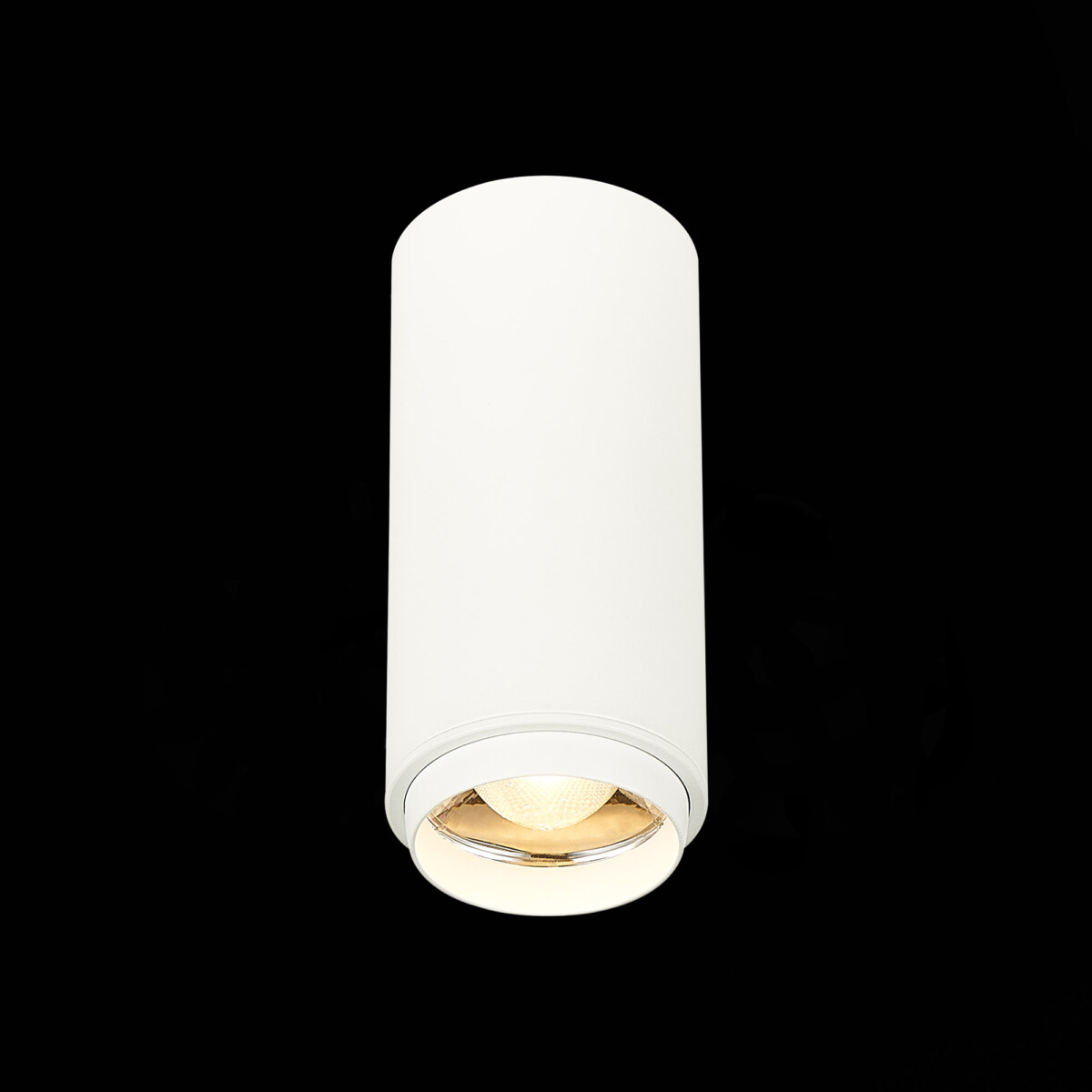 ST600.532.10 Светильник потолочный Zoom Белый LED 1*10W 3000K 1 000Lm Ra>80 15-60° IP20 D59xH130 170 Накладные светильники — изображение 1