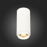 ST600.532.10 Светильник потолочный Zoom Белый LED 1*10W 3000K 1 000Lm Ra>80 15-60° IP20 D59xH130 170 Накладные светильники — изображение 2