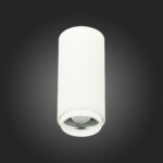 ST600.532.10 Светильник потолочный Zoom Белый LED 1*10W 3000K 1 000Lm Ra>80 15-60° IP20 D59xH130 170 Накладные светильники — изображение 5