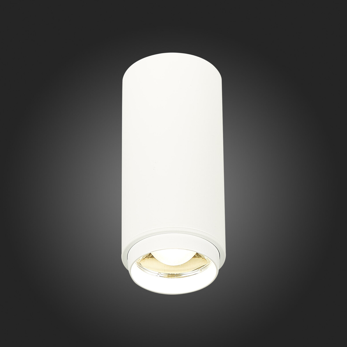 ST600.542.10 Светильник потолочный Zoom Белый LED 1*10W 4000K 1 000Lm Ra>80 15-60° IP20 D59xH130 170 Накладные светильники — изображение 2