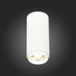 ST600.542.10 Светильник потолочный Zoom Белый LED 1*10W 4000K 1 000Lm Ra>80 15-60° IP20 D59xH130 170 Накладные светильники — изображение 2
