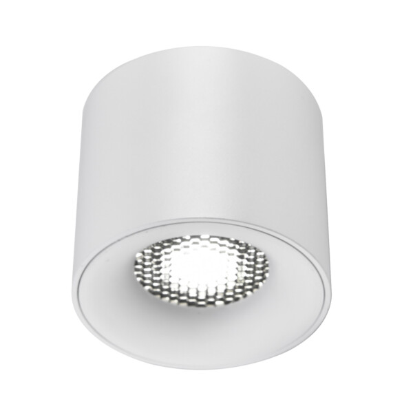 ST761.533.10 Светильник потолочный белый LED 1*10W 3000K 530Lm Ra 36° IP20 D80xH70 170-240VV Накладные светильники