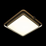 в наличии 10172 Потолочный светильник LOFT IT Mike - купить в интернет-магазине Светильники Торг