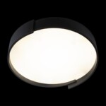 в наличии 10200 Black Потолочный светильник LOFT IT Coin - купить в интернет-магазине Светильники Торг