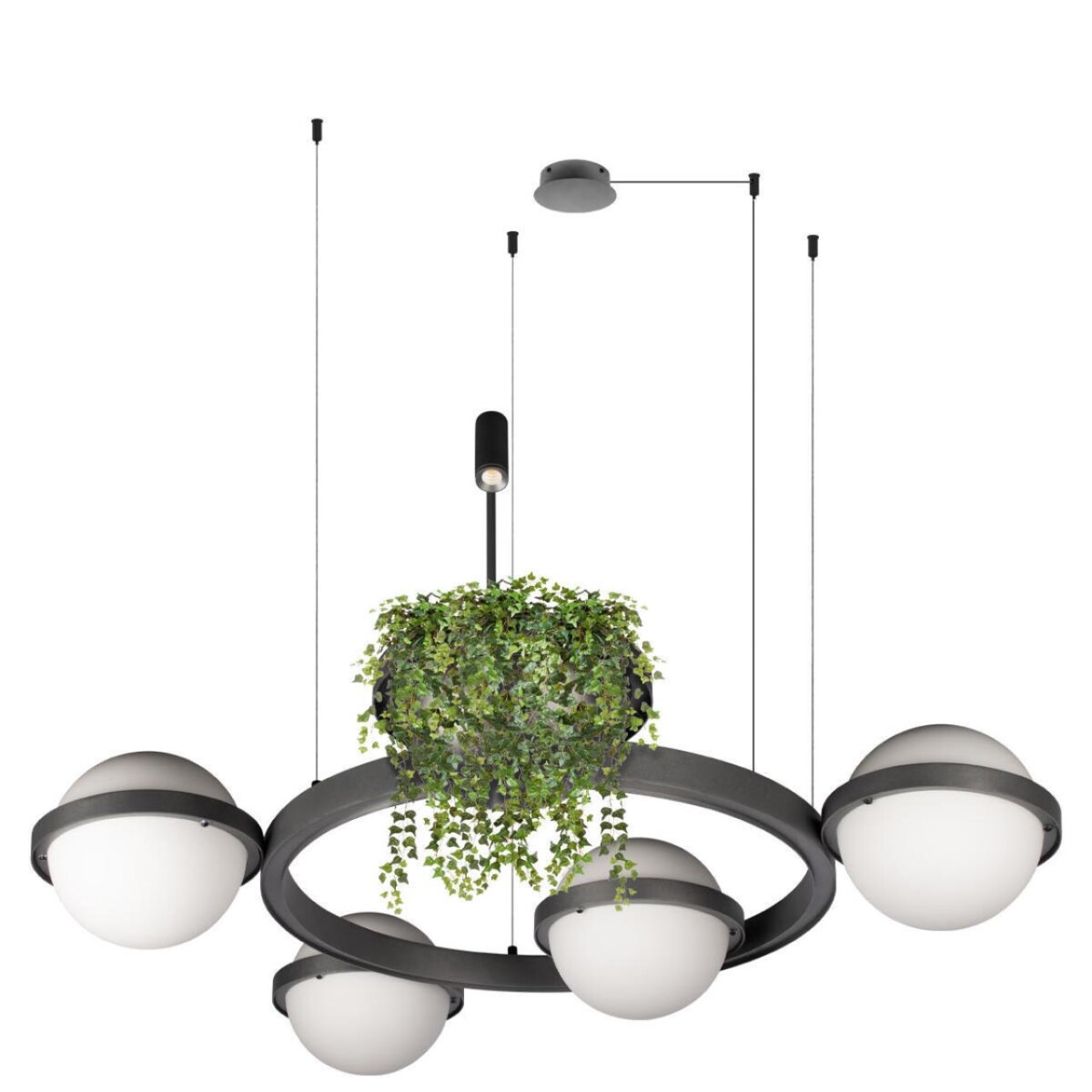 в наличии 10121/4 Dark grey Подвесной светильник LOFT IT Jardin - купить в интернет-магазине Светильники Торг