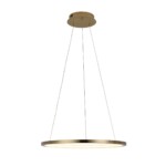 10014M Подвесной светильник LOFT IT Ring — изображение 3