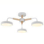 Escada 10270/3 LED*60W White/Wood — изображение 4