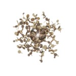 в наличии 10101W Gold Бра LOFT IT Spark - купить в интернет-магазине Светильники Торг