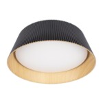 в наличии 10224 Black Потолочный светильник LOFT IT Evans - купить в интернет-магазине Светильники Торг