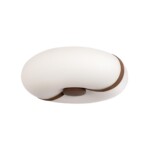 10473 Потолочный светильник LOFT IT Bolina