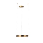 в наличии 10013S Подвесной светильник LOFT IT Ring - купить в интернет-магазине Светильники Торг