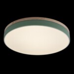 в наличии 10001/36 Green Потолочный светильник LOFT IT Axel - купить в интернет-магазине Светильники Торг