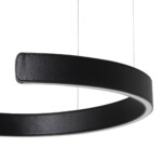 в наличии 10025/400 Black Подвесной светильник LOFT IT Ring - купить в интернет-магазине Светильники Торг