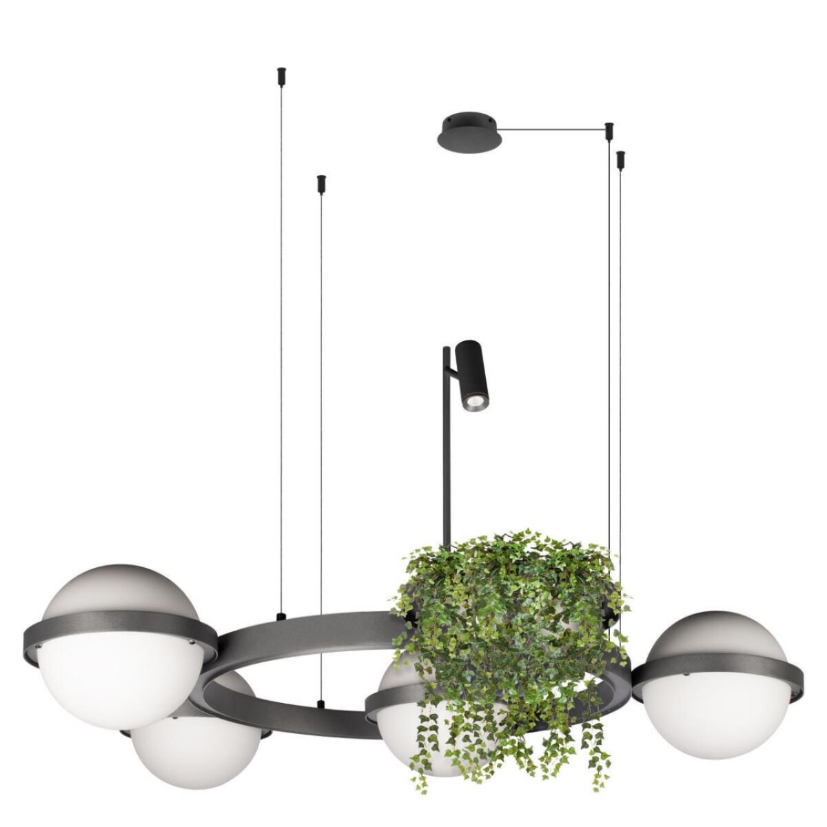в наличии 10121/4 Dark grey Подвесной светильник LOFT IT Jardin - купить в интернет-магазине Светильники Торг