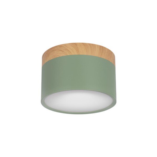 в наличии 10162 Green Накладной светильник LOFT IT Grape - купить в интернет-магазине Светильники Торг