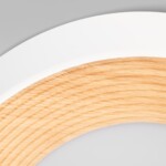 в наличии 10255/350 White Потолочный светильник LOFT IT Folk - купить в интернет-магазине Светильники Торг