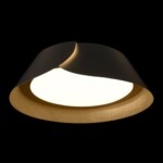 в наличии 10370 Black Потолочный светильник LOFT IT Lane - купить в интернет-магазине Светильники Торг