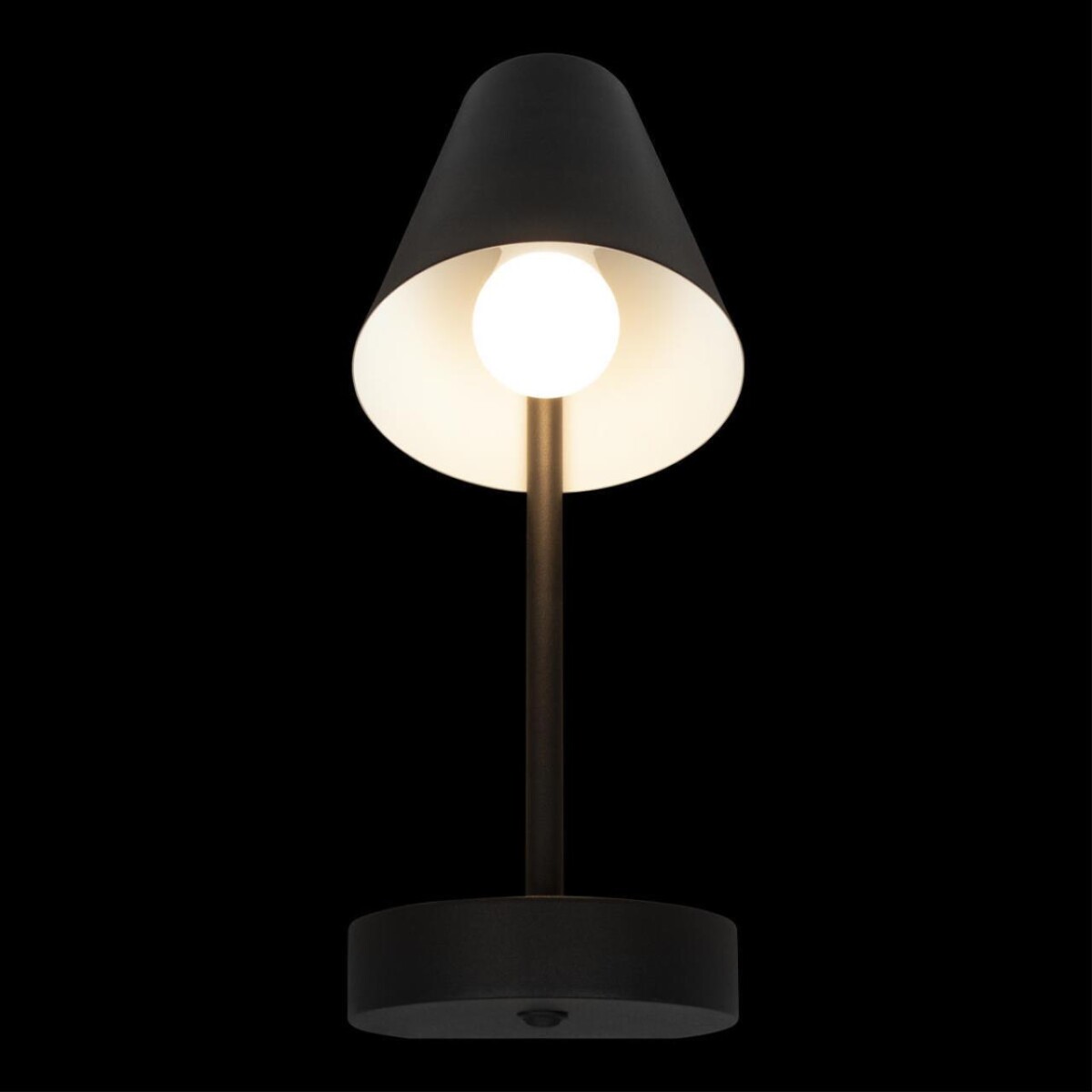 в наличии 10216/1W Black Настенный светильник LOFT IT Shelf - купить в интернет-магазине Светильники Торг