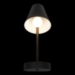 в наличии 10216/1W Black Настенный светильник LOFT IT Shelf - купить в интернет-магазине Светильники Торг