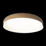 в наличии 10198 White Потолочный светильник LOFT IT Coin - купить в интернет-магазине Светильники Торг