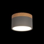 в наличии 10162 Grey Накладной светильник LOFT IT Grape - купить в интернет-магазине Светильники Торг