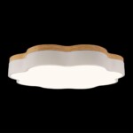 10225/36 White Потолочный светильник LOFT IT Axel — изображение 4