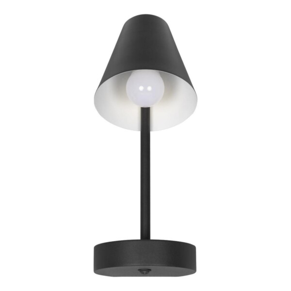 в наличии 10216/1W Black Настенный светильник LOFT IT Shelf - купить в интернет-магазине Светильники Торг