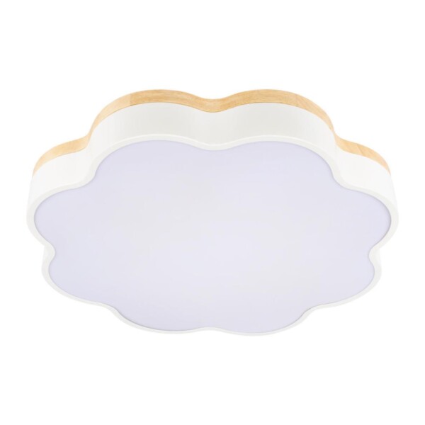 10225/36 White Потолочный светильник LOFT IT Axel