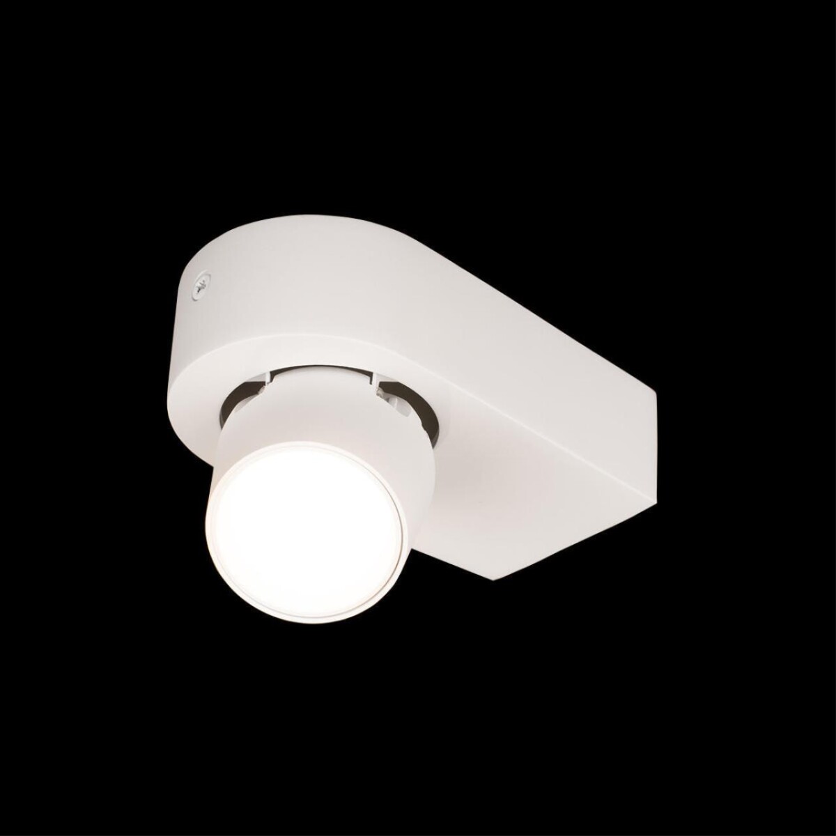 в наличии 10320 White Накладной светильник LOFT IT Quiet - купить в интернет-магазине Светильники Торг