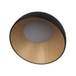 в наличии 10197/350 Black Потолочный светильник LOFT IT Egg - купить в интернет-магазине Светильники Торг